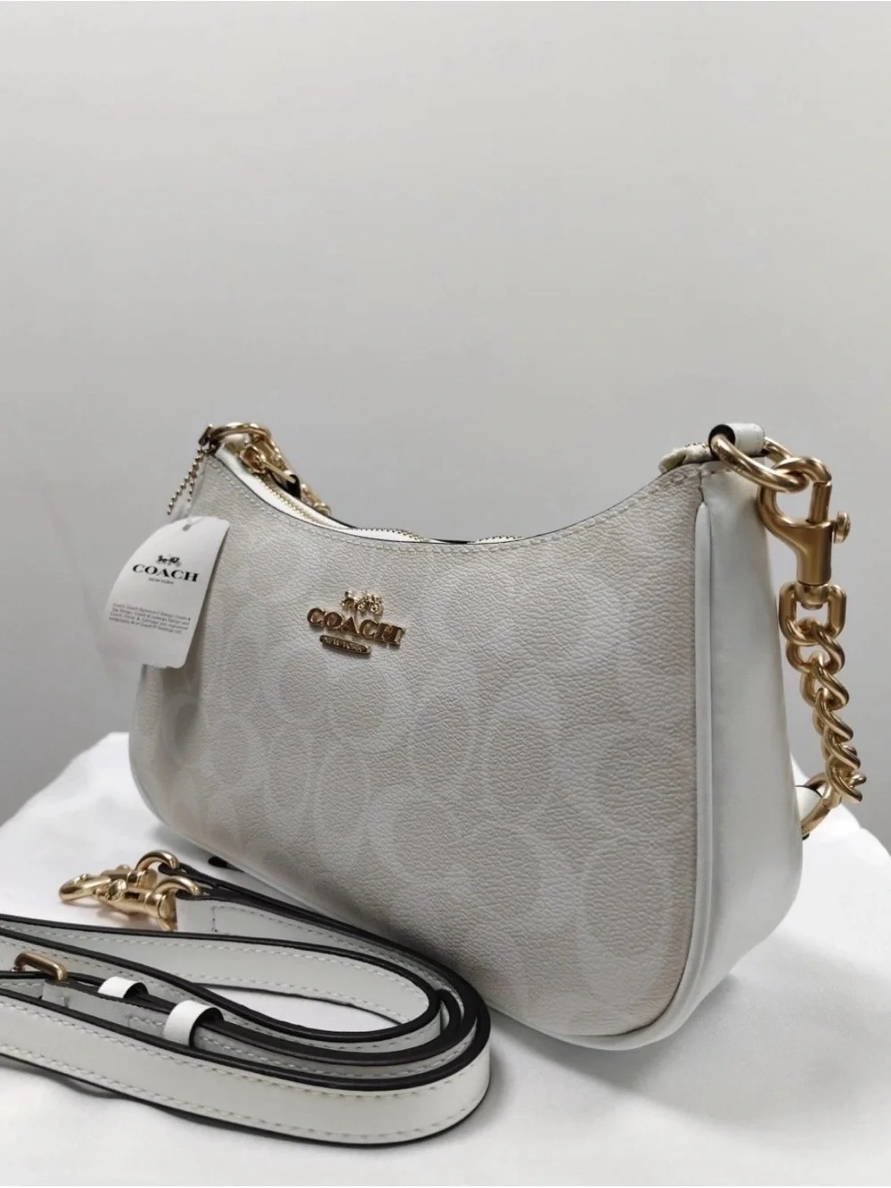 Coach Teri Signature Canvas Shoulder Bag in Glacier White